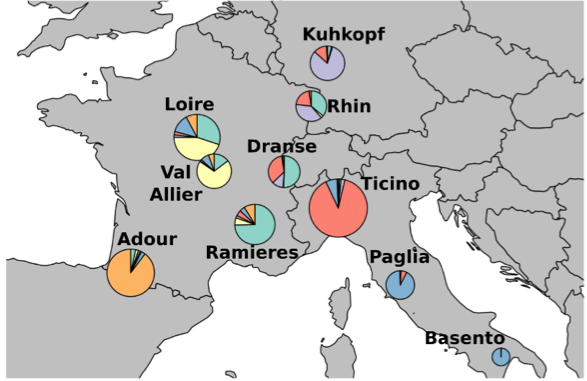 Map of genotypes